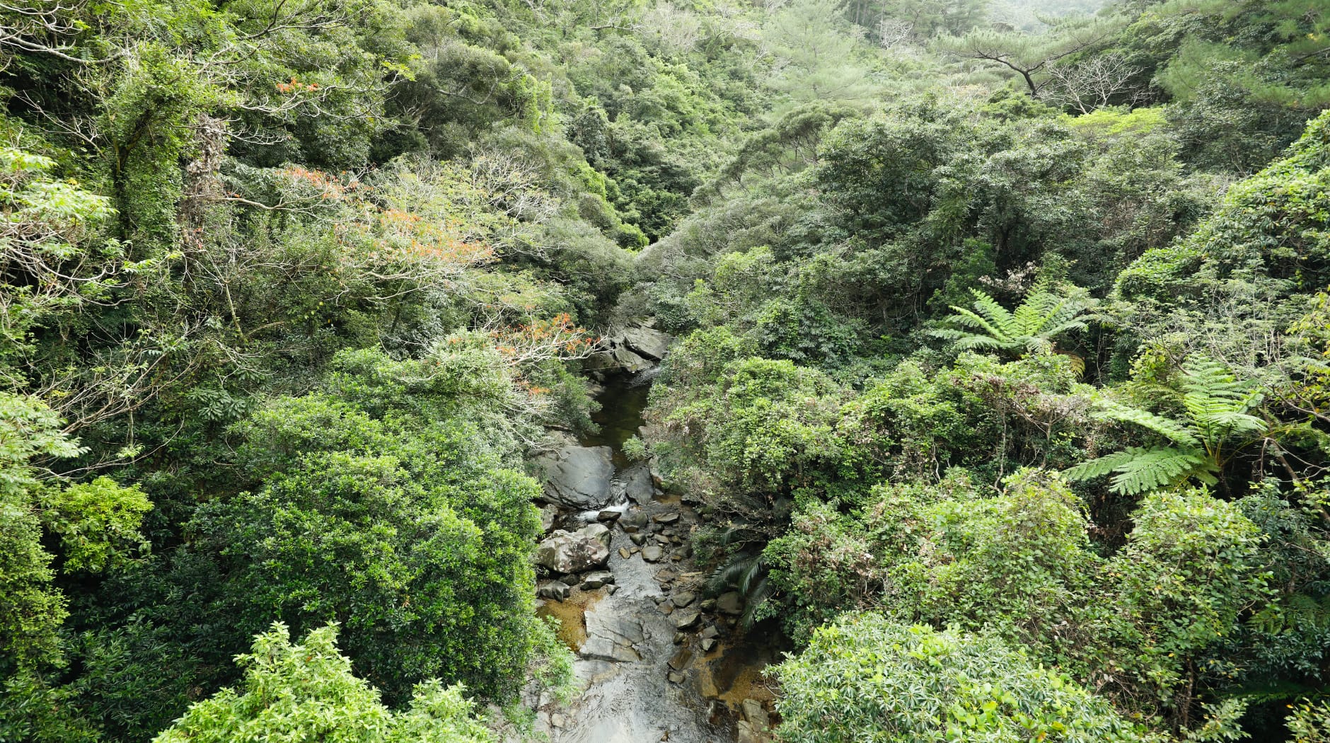 比地大滝