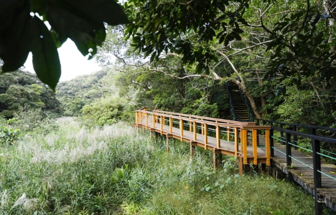 整備された遊歩道
