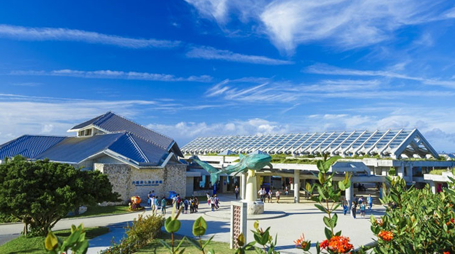 沖縄美ら海水族館